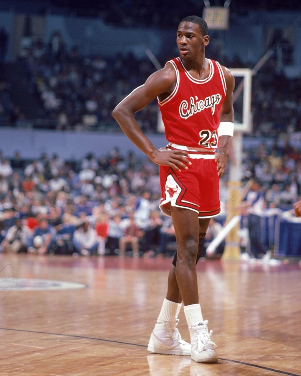 在股东大会 在股东大会