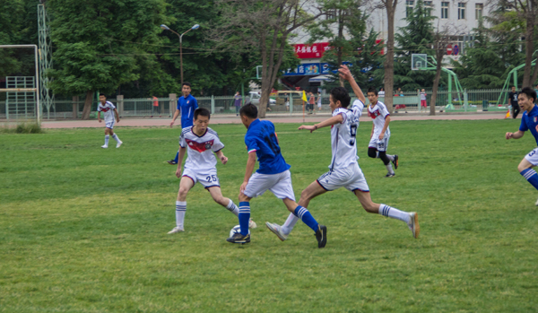 将成为未来 将成为未来