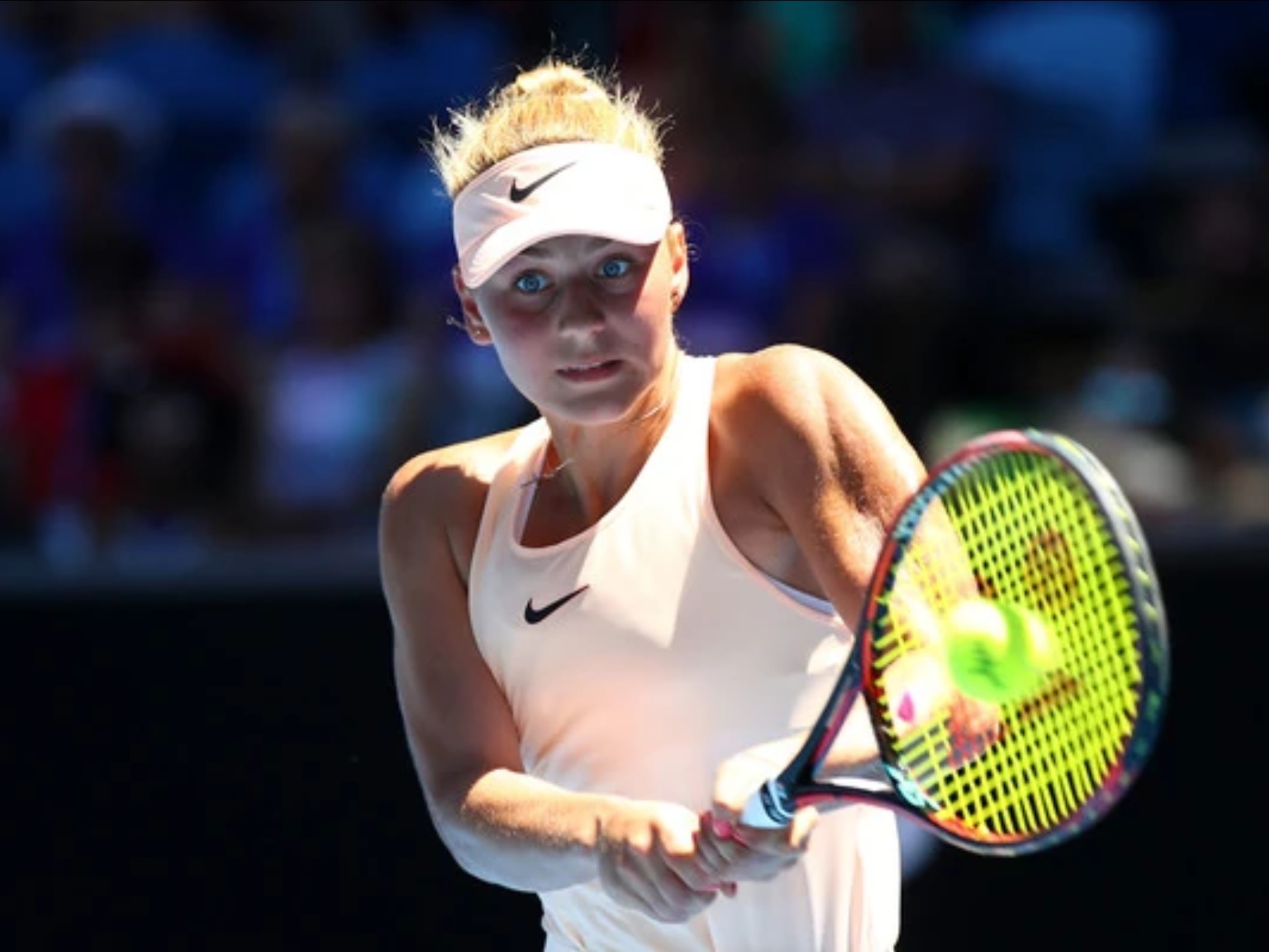 毛球爱好者 毛球爱好者