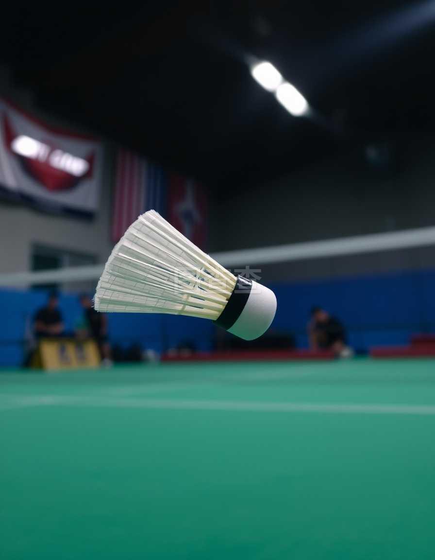 的篮板控制 的篮板控制