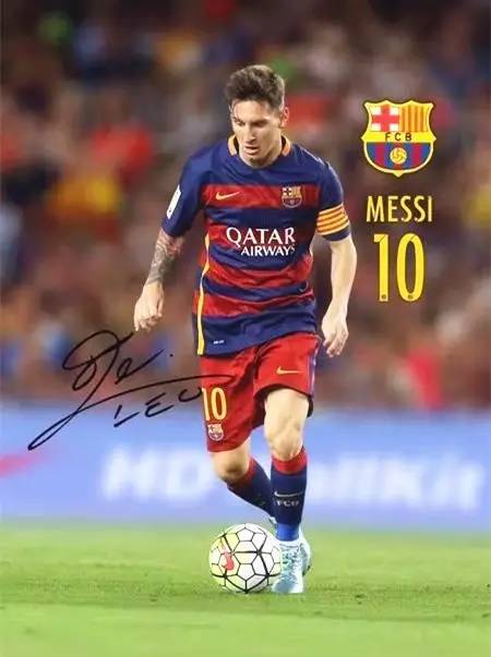 建议柏太阳 建议柏太阳